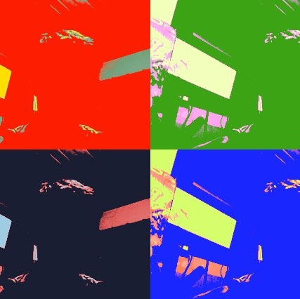 Thomas Garrido Photo 9