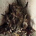 Mario Neto Photo 34
