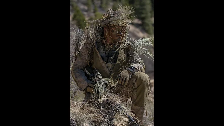 Mark D'Ambrosio Photo 8