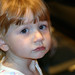 Allan Lieberman Photo 22