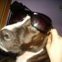 Nancy Ferraro Photo 22