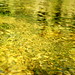 Dean Burns Photo 42