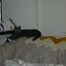 Joe Settles Photo 26