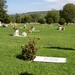 Debbie Jardine Photo 28