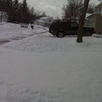 Mark Boswell Photo 11