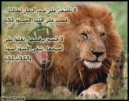 Bassam Salem Photo 9