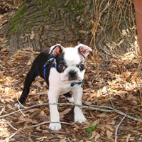 Quincy Murphy Photo 1