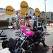 Elaine Dyke Photo 20