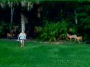 Debbie Herd Photo 25