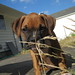 Andrea Arbuckle Photo 16