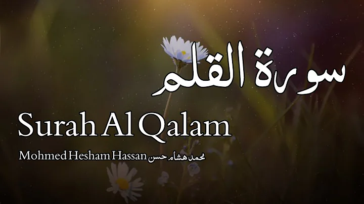 Hesham Hassan Photo 25
