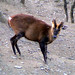 Satish Gupta Photo 37