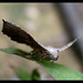 Roger Yuen Photo 24