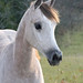 Nancy Richter Photo 41