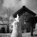 Stephen Borges Photo 28