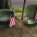 Michael Ziegler Photo 40