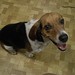 Molly Kiser Photo 10