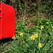 Clifford Cross Photo 24