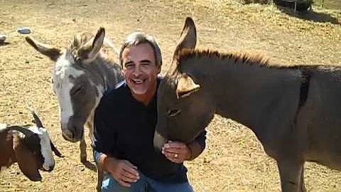 Mark Marchetti Photo 24