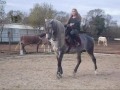 Laurence Riding Photo 5