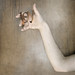 Carl Joy Photo 21