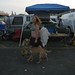 Samantha Weir Photo 31