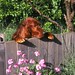 Anna Mayberry Photo 31