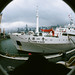 Hao Yang Photo 34