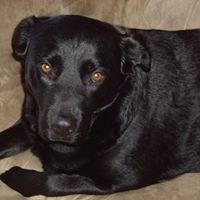 Nancy Compton Photo 6