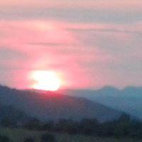 Teresa Tocco Photo 2