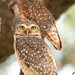 Robin Burrow Photo 25