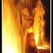 Donna Spray Photo 22