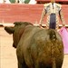 Rodrigo Hernandez Photo 32