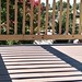 Michelle Deck Photo 27