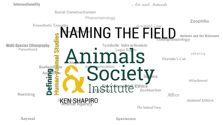 Kenneth Shapiro Photo 32