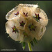 Flor Moreno Photo 31