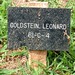 Leonard Goldstein Photo 31