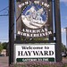 Carl Hayward Photo 29