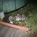 Steven Coons Photo 26