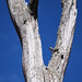 Tracey Sparrow Photo 24