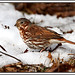 Richard Sparrow Photo 35