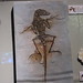 Chong Xu Photo 14