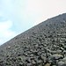 Jon Scarpa Photo 21