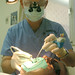 Oral Bragg Photo 10
