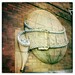 John Schlitz Photo 18