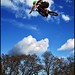 Lee Forte Photo 29