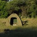 Dawn Camp Photo 35