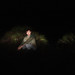 Rafael Monroy Photo 30