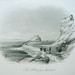Terry Frederick Photo 38