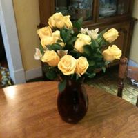 Colleen Schneider Photo 1